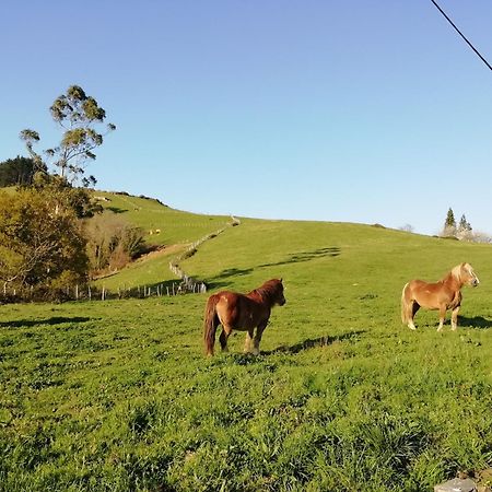 Agroturismo Pagoederraga オリオ エクステリア 写真