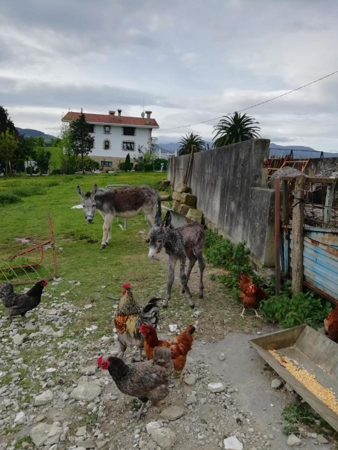 Agroturismo Pagoederraga オリオ エクステリア 写真
