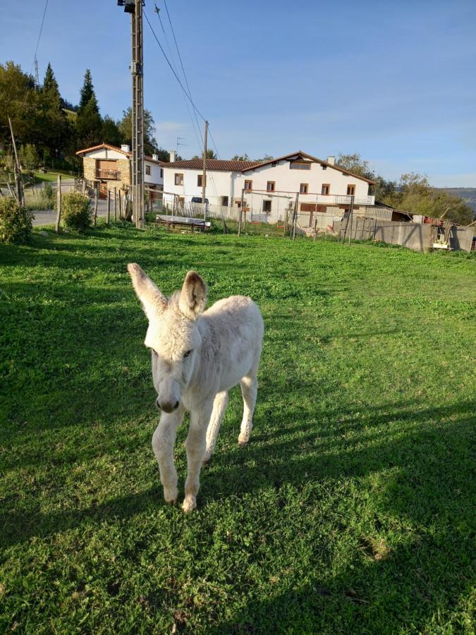 Agroturismo Pagoederraga オリオ エクステリア 写真