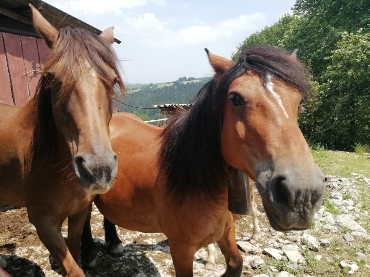 Agroturismo Pagoederraga オリオ エクステリア 写真